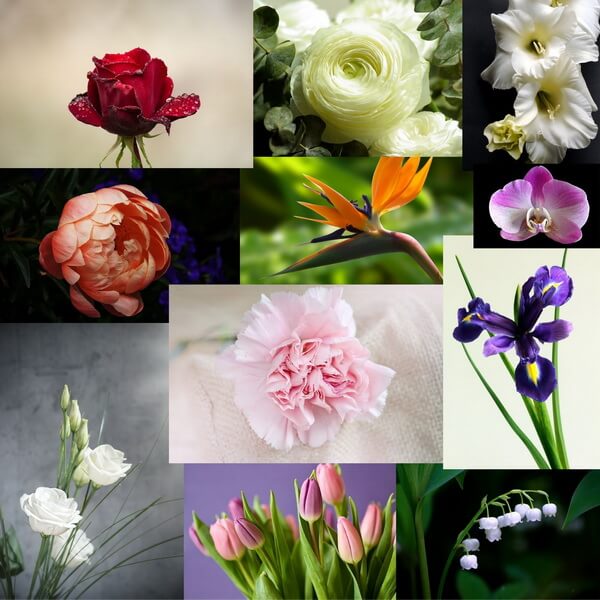 روانشناسی گل ها(69گل)