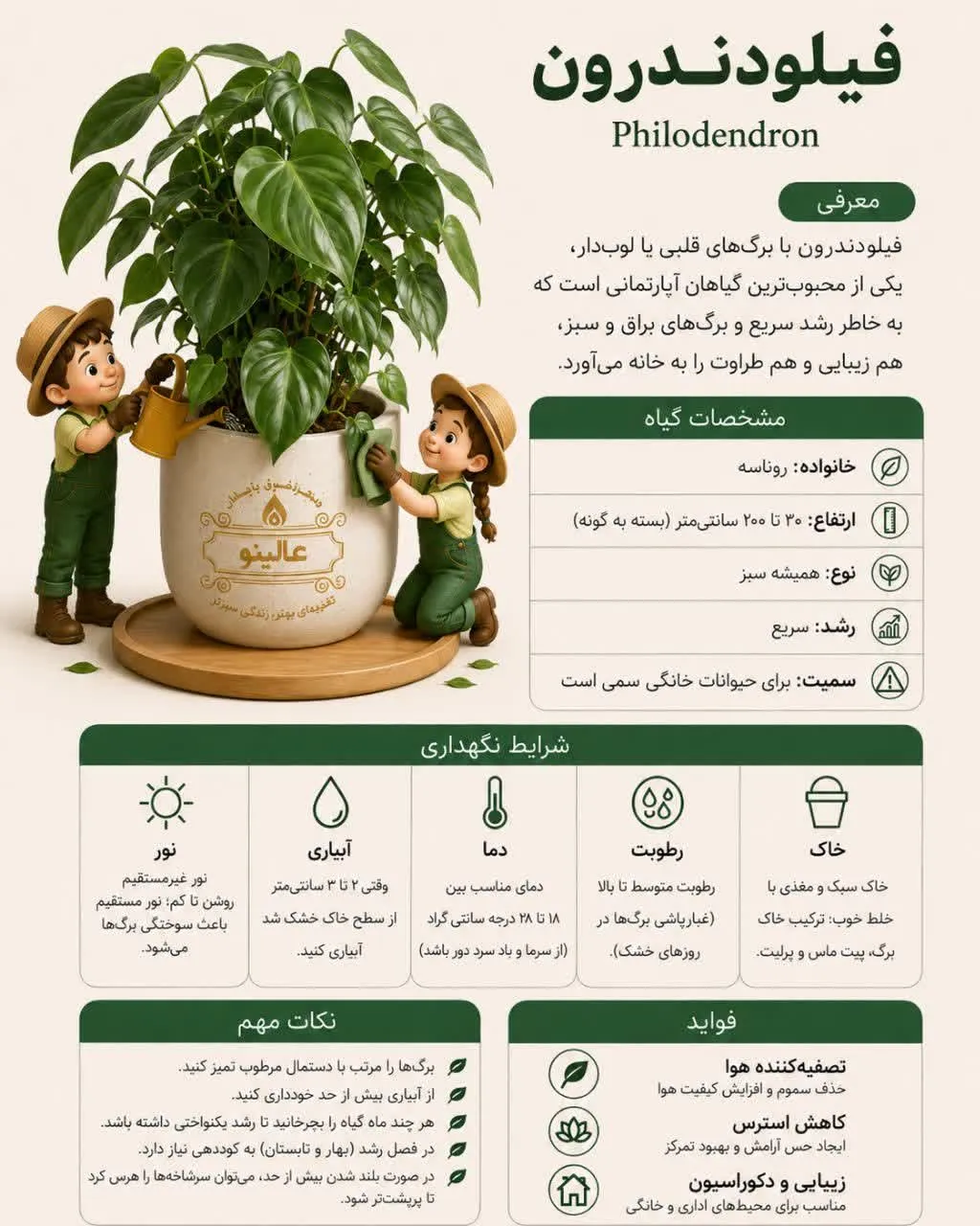 فیلودندرون چرا زرد میشه یا رشدش کند میشه؟( 4علت)