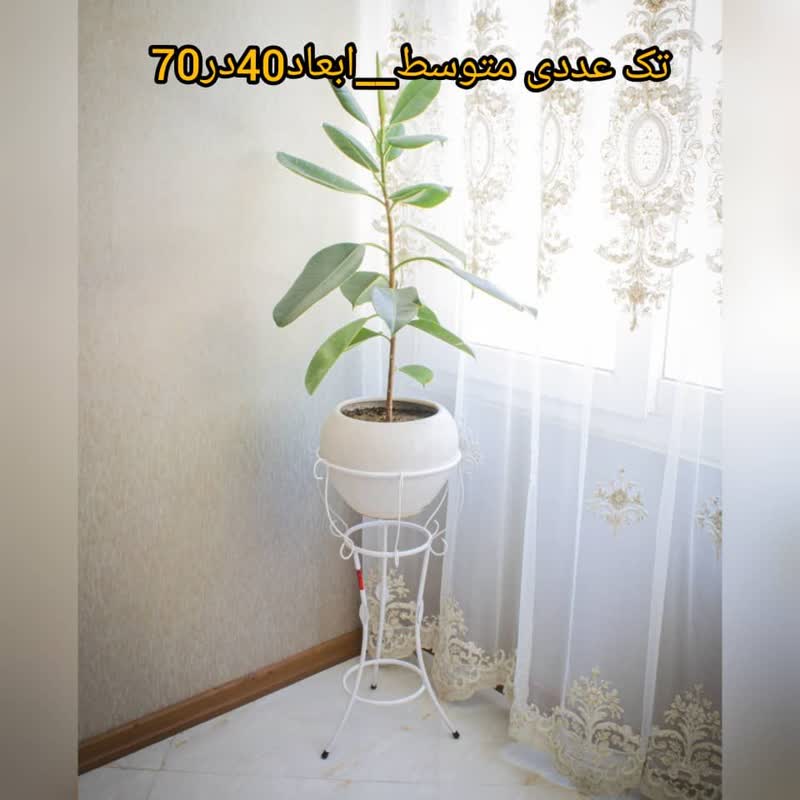 پایه گلدان فلزی سیدوس - تصویر 9