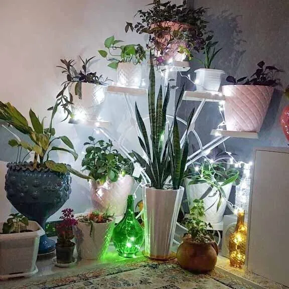 استند گلدان دم طاووسی 8عددی مونتاژی - تصویر 7