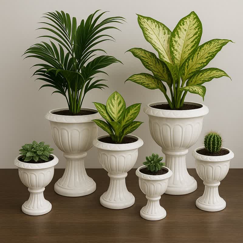 گلدان پلاستیکی Plastic pot, plastic vase مجموعه تولیدی سیدوس ,تولید کننده گلدان پلاستیکی سیدوس ,بیش از 120نوع, اعم از گلدان استوانه ای پلاستیکی سیدوس,گلدان الماسی پلاستیکی سیدوس,گلدان مربعی پلاستیکی,گلدان مثلثی پلاستیکی,گلدان گرد پلاستیکی ,باکس مستطیلی,در اندازه های کاکتوسی تا درختچه ای