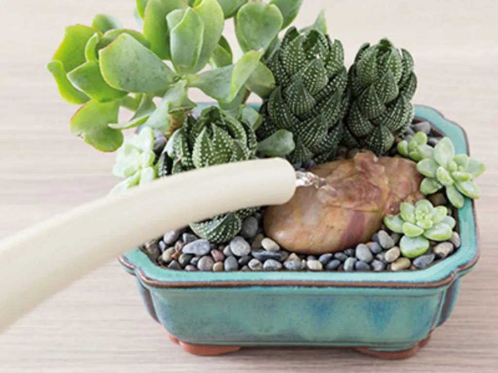 آبیاری کاکتوس و الزامات مربوطهCactus watering and related requirements
مجموعه تولیدی سیدوس ,تولید کننده گلدان پلاستیکی سیدوس ,بیش از 120نوع, اعم از گلدان استوانه ای پلاستیکی سیدوس,گلدان الماسی پلاستیکی سیدوس,گلدان مربعی پلاستیکی,گلدان مثلثی پلاستیکی,گلدان گرد پلاستیکی ,باکس مستطیلی,در اندازه های کاکتوسی تا درختچه ای