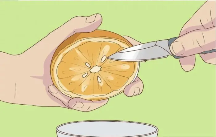 سبزه نارنجرشد نارنج از دانه
Growing oranges from seed
مجموعه تولیدی سیدوس ,تولید کننده گلدان پلاستیکی سیدوس ,بیش از 120نوع, اعم از گلدان استوانه ای پلاستیکی سیدوس,گلدان الماسی پلاستیکی سیدوس,گلدان مربعی پلاستیکی,گلدان مثلثی پلاستیکی,گلدان گرد پلاستیکی ,باکس مستطیلی,در اندازه های کاکتوسی تا درختچه ای