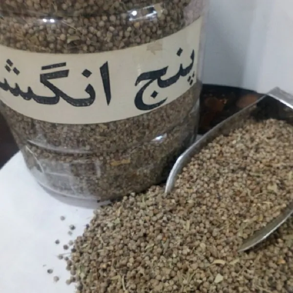 گیاه پنج انگشت یک گونه از سرده پنج انگشت است.  نام علمی: Vitex agnus-castus رده بندی بالاتر :ویتکس تیره : شاه پسند گونه: V. agnus-castus مجموعه تولیدی گلدان پلاستیکی سیدوسPotentilla,Verbenacea
e,Vitex agnus-castus
