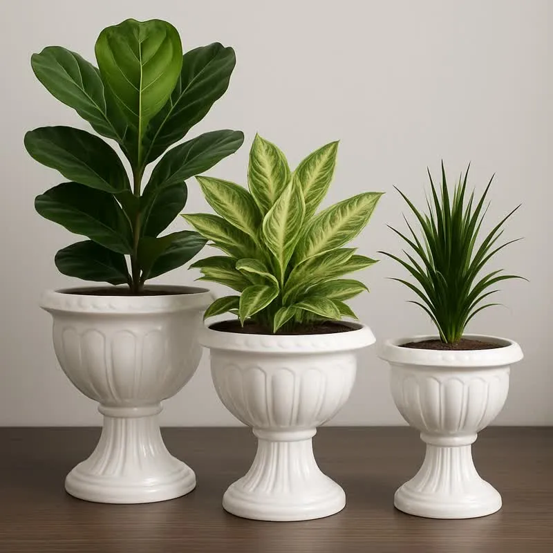 مبارزه با آفات و بیماری‌های گیاهان آپارتمانیFighting pests and diseases of houseplants
گلدان پلاستیکی  Plastic pot,  plastic vase مجموعه تولیدی سیدوس ,تولید کننده گلدان پلاستیکی سیدوس ,بیش از 120نوع, اعم از گلدان استوانه ای پلاستیکی سیدوس,گلدان الماسی پلاستیکی سیدوس,گلدان مربعی پلاستیکی,گلدان مثلثی پلاستیکی,گلدان گرد پلاستیکی ,باکس مستطیلی,در اندازه های کاکتوسی تا درختچه ای