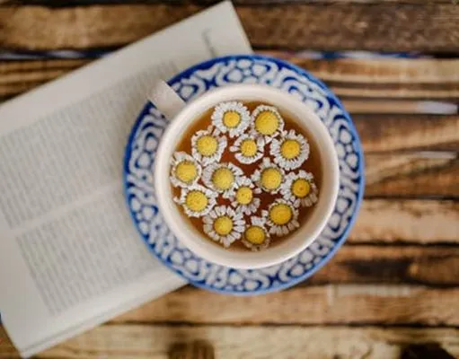گل بابونهنام انگلیسی	Matricaria chamomilla
نام علمی	Chamaemelum nobile
مجموعه تولیدی سیدوس ,تولید کننده گلدان پلاستیکی سیدوس