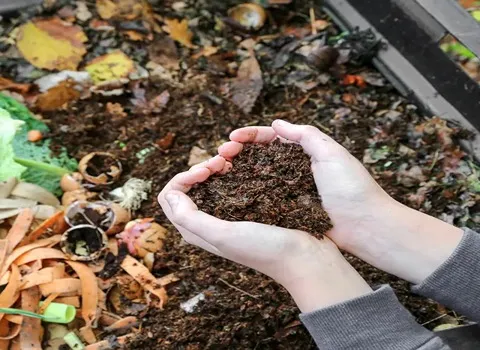خواص ورمی کمپوست چیست؟What are the properties of vermicompost? مجموعه تولیدی سیدوس ,تولید کننده گلدان پلاستیکی سیدوس ,بیش از 120نوع, اعم از گلدان استوانه ای پلاستیکی سیدوس,گلدان الماسی پلاستیکی سیدوس,گلدان مربعی پلاستیکی,گلدان مثلثی پلاستیکی,گلدان گرد پلاستیکی ,باکس مستطیلی,در اندازه های کاکتوسی تا درختچه ای