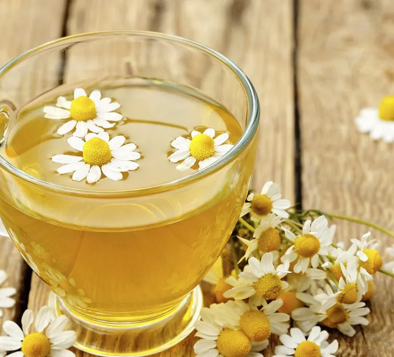 گل بابونهنام انگلیسی	Matricaria chamomilla
نام علمی	Chamaemelum nobile
مجموعه تولیدی سیدوس ,تولید کننده گلدان پلاستیکی سیدوس