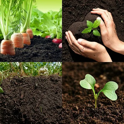 خاک برگleaf soil