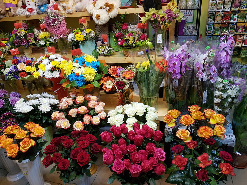 The psychology of flowersروانشناسی گل ها