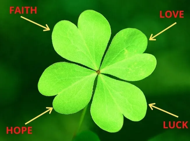 گل شبدر ترشک,گیاه Oxalis corniculata (با نام فارسی شبدر ترشک و نام محلی ترشه واش) مجموعه تولیدی سیدوس تولید کننده گلدان پلاستیکی سیدوس,اعم از استوانه ای,مربعی,سه گوش,گرد,و120مدل گلدان پلاستیکی شکیل