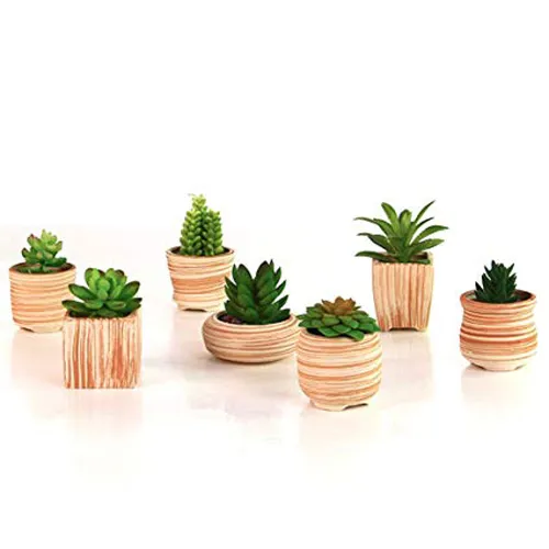 جنس گلدان ها ومقایسه تناسب آن برای گیاهانTypes of pots and their suitability for plants
مجموعه تولیدی سیدوس ,تولید کننده گلدان پلاستیکی سیدوس ,بیش از 120نوع, اعم از گلدان استوانه ای پلاستیکی سیدوس,گلدان الماسی پلاستیکی سیدوس,گلدان مربعی پلاستیکی,گلدان مثلثی پلاستیکی,گلدان گرد پلاستیکی ,باکس مستطیلی,در اندازه های کاکتوسی تا درختچه ای