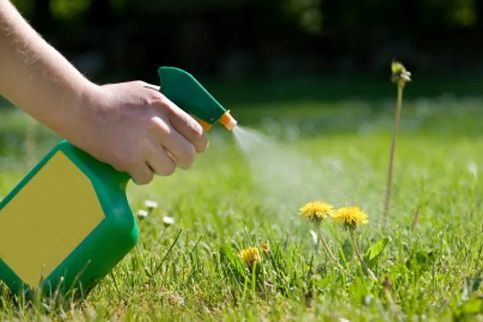 جوش شیرین واستفاده از آن در باغبانی (20مورد)Baking soda and its uses in gardening (20 cases)
مجموعه تولیدی سیدوس ,تولید کننده گلدان پلاستیکی سیدوس ,بیش از 120نوع, اعم از گلدان استوانه ای پلاستیکی سیدوس,گلدان الماسی پلاستیکی سیدوس,گلدان مربعی پلاستیکی,گلدان مثلثی پلاستیکی,گلدان گرد پلاستیکی ,باکس مستطیلی,در اندازه های کاکتوسی تا درختچه ای