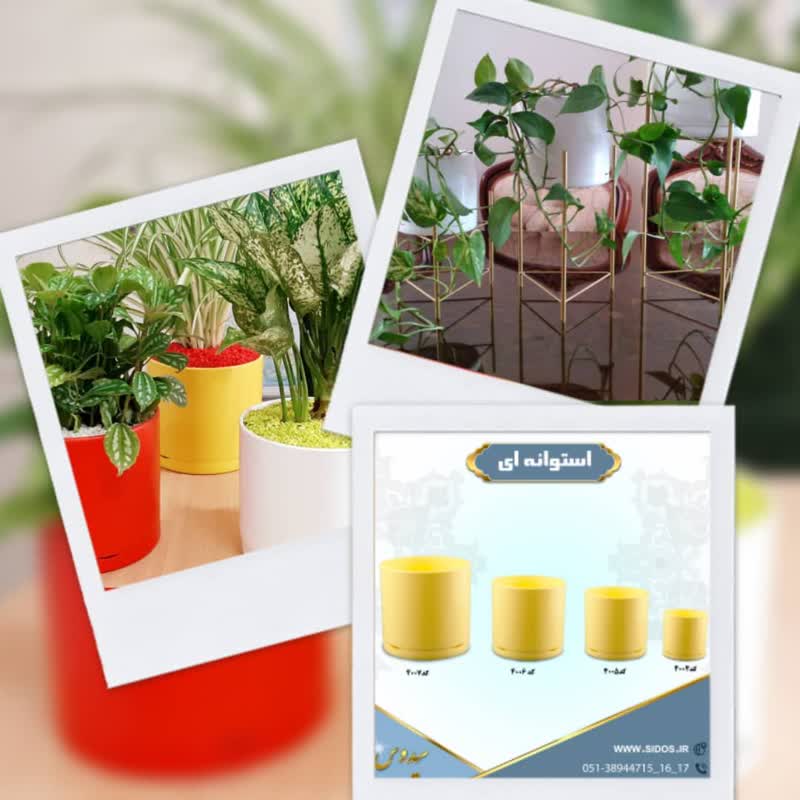 Sidoos plastic vase (more than 130 types)گلدان پلاستیکی سیدوس(بیش از130نوع)