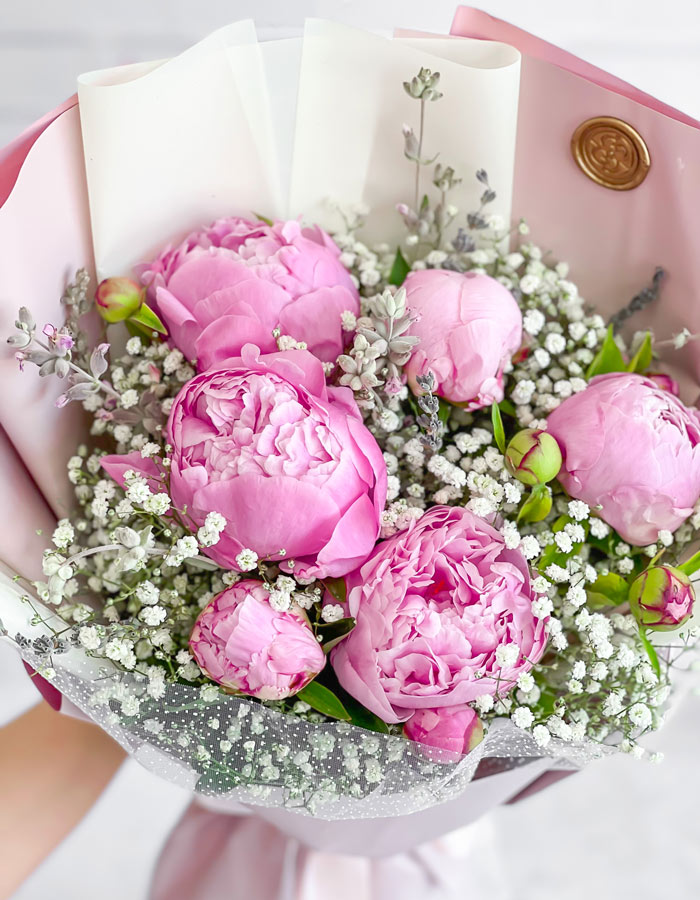 Peony flower or peony flower
