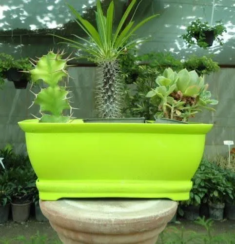 Sidoos plastic vase گلدان پلاستیکی سیدوس