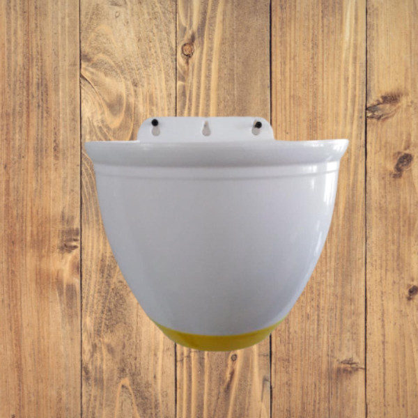 wall vase