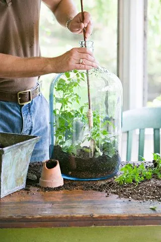 تراریوم (16ایده خلاقانه ) Terrarium (16 creative ideas) مجموعه تولیدی سیدوس ,تولید کننده گلدان پلاستیکی سیدوس ,بیش از 120نوع, اعم از گلدان استوانه ای پلاستیکی سیدوس,گلدان الماسی پلاستیکی سیدوس,گلدان مربعی پلاستیکی,گلدان مثلثی پلاستیکی,گلدان گرد پلاستیکی ,باکس مستطیلی,در اندازه های کاکتوسی تا درختچه ای