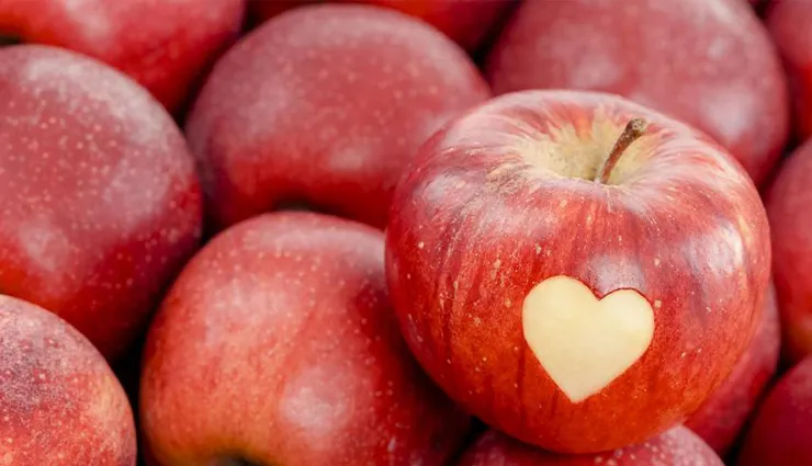 سیب وخواص چشمگیر آن برای سلامتیApple and its impressive health properties
مجموعه تولیدی سیدوس ,تولید کننده گلدان پلاستیکی سیدوس ,بیش از 120نوع, اعم از گلدان استوانه ای پلاستیکی سیدوس,گلدان الماسی پلاستیکی سیدوس,گلدان مربعی پلاستیکی,گلدان مثلثی پلاستیکی,گلدان گرد پلاستیکی ,باکس مستطیلی,در اندازه های کاکتوسی تا درختچه ای