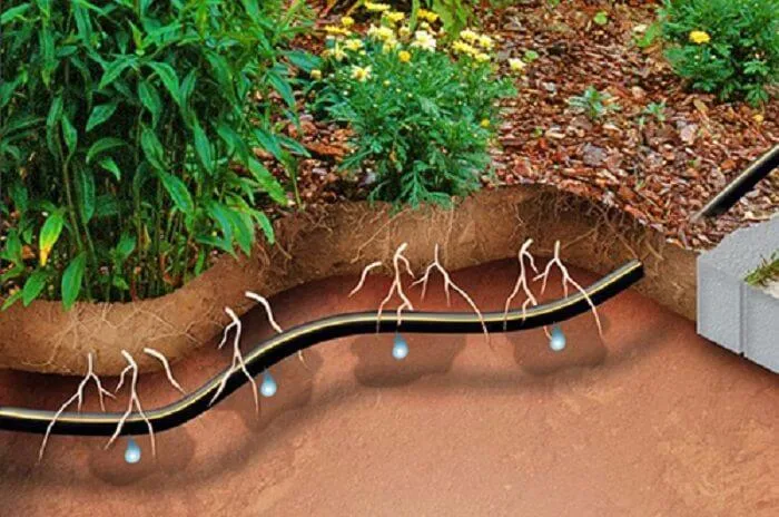 سیستم آبیاری زیر سطحیSubsurface irrigation system مجموعه تولیدی سیدوس ,تولید کننده محصولات بهداشتی ساختمانی سیدوس ,بیش از 112نوعاعم از مکانیسم توالت فرنگی,سیفون تک لگن,سیفون دو لگن,سیفون فانتزی,سیفون نیمه فانتزی,انواع سردوش, انواع کفشور,انواع چاه بست,انواع زیرآب,قطعات سیفون,ققطعات کفشور,قطعات سیفون کلاسیک, قطعاتت سیفون فانتزی,انواع واشر,سیفون وان و زیر دوشی,انواع لوله کششی شیلنگ آب آبگون,شیلنگ آب نیلگون,شیلنگ آب ژله ای آبران