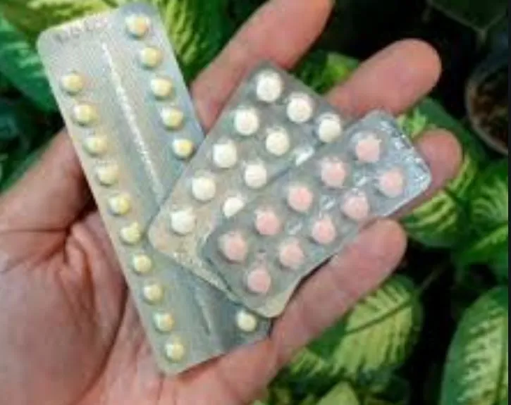 قرص های موثر بر رشد گیاهانPills affecting plant growth مجموعه تولیدی سیدوس ,تولید کننده گلدان پلاستیکی سیدوس ,بیش از 120نوع, اعم از گلدان استوانه ای پلاستیکی سیدوس,گلدان الماسی پلاستیکی سیدوس,گلدان مربعی پلاستیکی,گلدان مثلثی پلاستیکی,گلدان گرد پلاستیکی ,باکس مستطیلی,در اندازه های کاکتوسی تا درختچه ای
