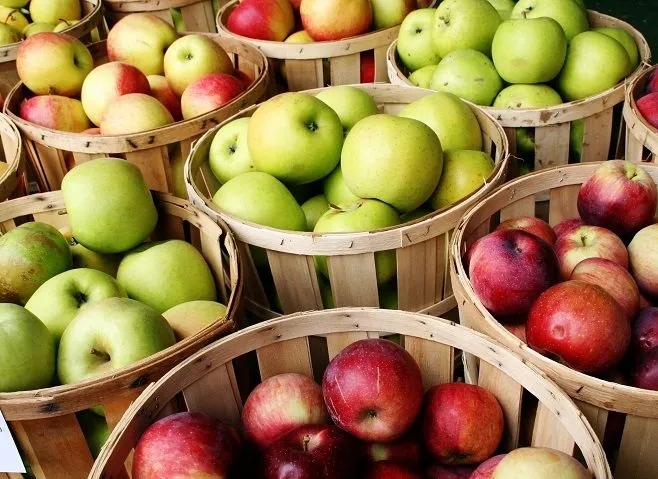 سیب وخواص چشمگیر آن برای سلامتیApple and its impressive health properties
مجموعه تولیدی سیدوس ,تولید کننده گلدان پلاستیکی سیدوس ,بیش از 120نوع, اعم از گلدان استوانه ای پلاستیکی سیدوس,گلدان الماسی پلاستیکی سیدوس,گلدان مربعی پلاستیکی,گلدان مثلثی پلاستیکی,گلدان گرد پلاستیکی ,باکس مستطیلی,در اندازه های کاکتوسی تا درختچه ای
