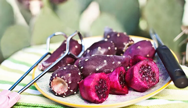  کاکتوس و میوه آن وموثرترین خواص آن برای سلامتی ولاغریCactus and its fruit and its most effective properties مجموعه تولیدی سیدوس , تولید کننده گلدان پلاستیکی سیدوس