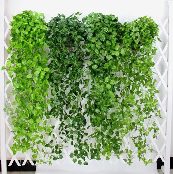 گیاهان آپارتمانی از نظر شکل ظاهریHouseplants in terms of appearance مجموعه تولیدی سیدوس ,تولید کننده گلدان پلاستیکی سیدوس ,بیش از 120نوع, اعم از گلدان استوانه ای پلاستیکی سیدوس,گلدان الماسی پلاستیکی سیدوس,گلدان مربعی پلاستیکی,گلدان مثلثی پلاستیکی,گلدان گرد پلاستیکی ,باکس مستطیلی,در اندازه های کاکتوسی تا درختچه ای