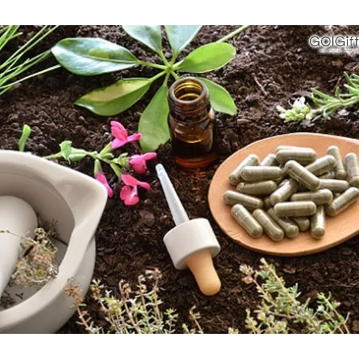 قرص های موثر بر رشد گیاهان Pills affecting plant growth مجموعه تولیدی سیدوس ,تولید کننده گلدان پلاستیکی سیدوس ,بیش از 120نوع, اعم از گلدان استوانه ای پلاستیکی سیدوس,گلدان الماسی پلاستیکی سیدوس,گلدان مربعی پلاستیکی,گلدان مثلثی پلاستیکی,گلدان گرد پلاستیکی ,باکس مستطیلی,در اندازه های کاکتوسی تا درختچه ای