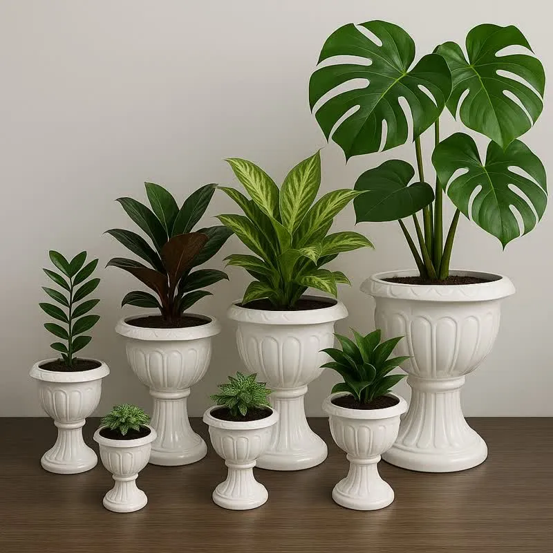 فصل پاییز وگیاهان آپارتمانی مناسب این فصلAutumn season and suitable houseplants for this season مجموعه تولیدی سیدوس ,تولید کننده گلدان پلاستیکی سیدوس ,بیش از 120نوع, اعم از گلدان استوانه ای پلاستیکی سیدوس,گلدان الماسی پلاستیکی سیدوس,گلدان مربعی پلاستیکی,گلدان مثلثی پلاستیکی,گلدان گرد پلاستیکی ,باکس مستطیلی,در اندازه های کاکتوسی تا درختچه ای
