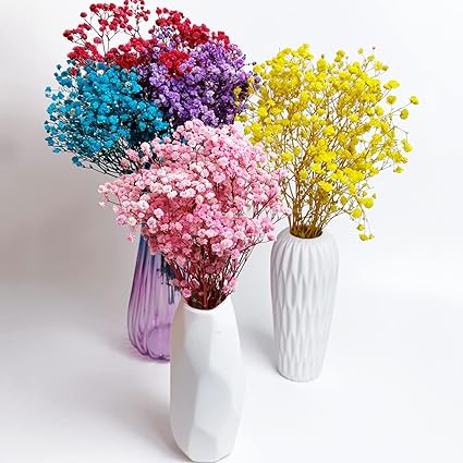 Gypsophila flower,گل ژیپسوفیلا,گل عروس