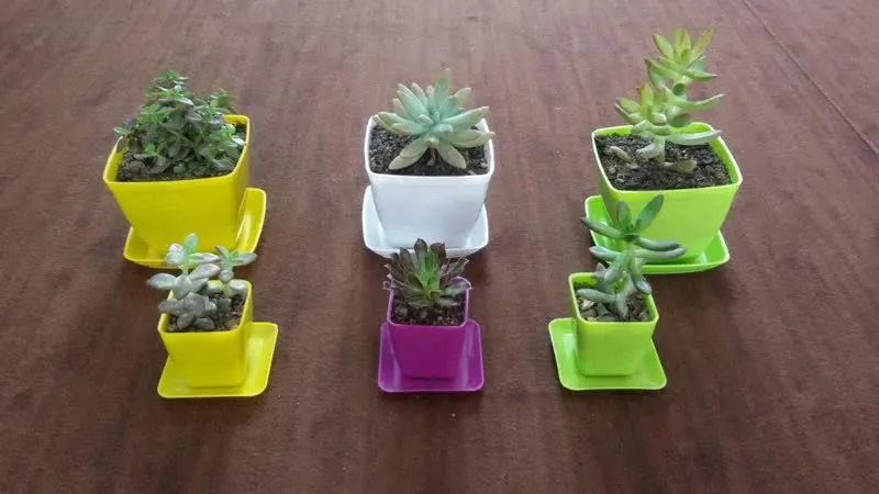 Sidoos plastic pot in a garden with 20 beautiful flowers گلدان پلاستیکی سیدوس در باغی با 20گل زیبا