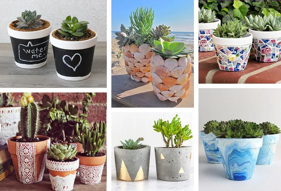 گلدان‌های ساده سفالی را به آثار هنری تبدیل کنید Turn simple vases into works of art مجموعه تولیدی سیدوس ,تولید کننده گلدان پلاستیکی سیدوس ,بیش از 120نوع, اعم از گلدان استوانه ای پلاستیکی سیدوس,گلدان الماسی پلاستیکی سیدوس,گلدان مربعی پلاستیکی,گلدان مثلثی پلاستیکی,گلدان گرد پلاستیکی ,باکس مستطیلی,در اندازه های کاکتوسی تا درختچه ای