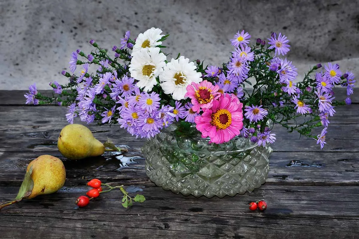گل و گیاهان پاییزی برای علاقه مندان پاییزAutumn flowers and
 plants for autumn lovers
مجموعه تولیدی سیدوس ,تولید کننده گلدان پلاستیکی سیدوس ,بیش از 120نوع, اعم از گلدان استوانه ای پلاستیکی سیدوس,گلدان الماسی پلاستیکی سیدوس,گلدان مربعی پلاستیکی,گلدان مثلثی پلاستیکی,گلدان گرد پلاستیکی ,باکس مستطیلی,در اندازه های کاکتوسی تا درختچه ای