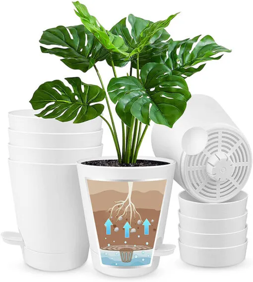 گیاهانی که باید از زیر آبیاری شودPlants that need to be watered from below مجموعه تولیدی سیدوس ,تولید کننده گلدان پلاستیکی سیدوس ,بیش از 120نوع, اعم از گلدان استوانه ای پلاستیکی سیدوس,گلدان الماسی پلاستیکی سیدوس,گلدان مربعی پلاستیکی,گلدان مثلثی پلاستیکی,گلدان گرد پلاستیکی ,باکس مستطیلی,در اندازه های کاکتوسی تا درختچه ای 