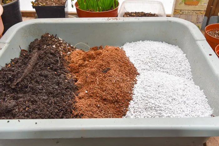 بهترین خاک برای گلدانThe best soil for pots
مجموعه تولیدی سیدوس ,تولید کننده گلدان پلاستیکی سیدوس ,بیش از 120نوع, اعم از گلدان استوانه ای پلاستیکی سیدوس,گلدان الماسی پلاستیکی سیدوس,گلدان مربعی پلاستیکی,گلدان مثلثی پلاستیکی,گلدان گرد پلاستیکی ,باکس مستطیلی,در اندازه های کاکتوسی تا درختچه ای