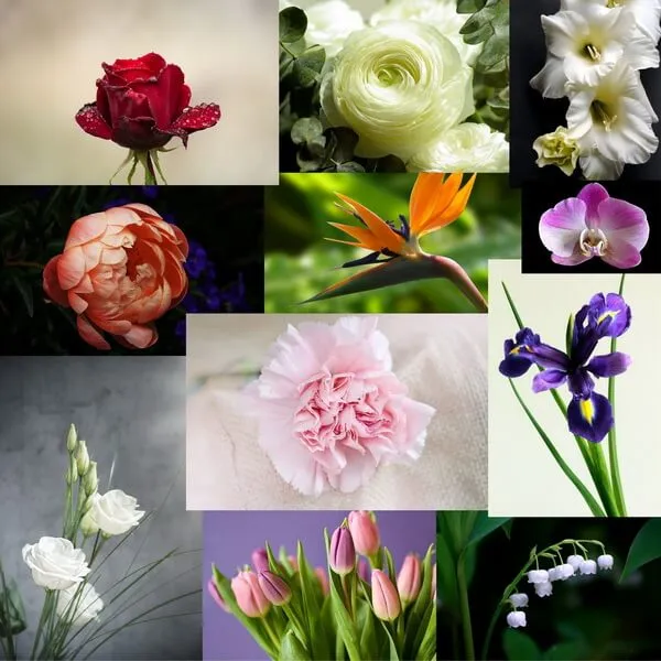 گلهای زیبای بهاری که میتوان در گلدان وباغچه کاشتBeautiful spring flowers that can be planted in pots and gardens مجموعه تولیدی سیدوس ,تولید کننده گلدان پلاستیکی سیدوس ,بیش از 120نوع, اعم از گلدان استوانه ای پلاستیکی سیدوس,گلدان الماسی پلاستیکی سیدوس,گلدان مربعی پلاستیکی,گلدان مثلثی پلاستیکی,گلدان گرد پلاستیکی ,باکس مستطیلی,در اندازه های کاکتوسی تا درختچه ای