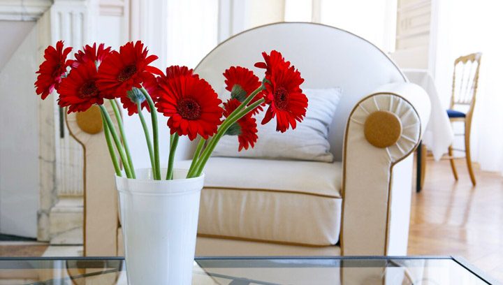 gerbera flowerگل ژربرا