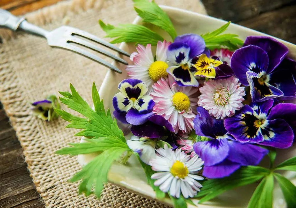 گل خوراکی (و3شیوه مصرف)Edible flower (and 3 ways of consumption) مجموعه تولیدی سیدوس , تولید کننده گلدان پلاستیکی سیدوس تدوین:مینو غفوری ساداتیه آدرس اینستاگرام:gooldono.stand.sidoos@ تلفن:09308743868