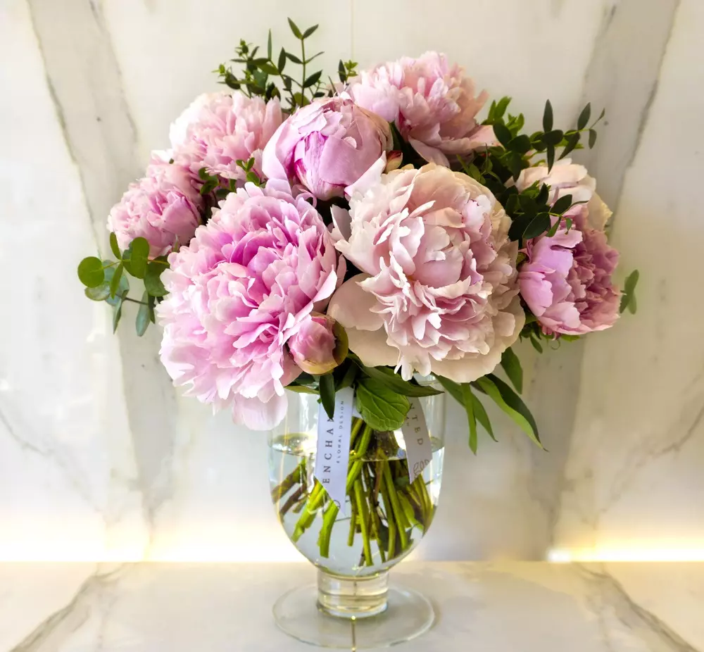 گل وگیاه ثروت سازWealth-making
 flowers and plants (6 types)
مجموعه تولیدی سیدوس,تولید کننده گلدان پلاستیکی سیدوس