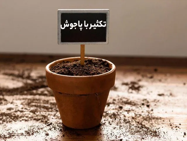 گل مینامینای چمنی
دِیْزی چمنی، مینای معمولی و مینای انگلیسی,مینای چینی,مینای افریقایی یا چشم آبی
Aster+  Michaelmas Daisy
(Bellis perennis)
مجموعه تولیدی سیدوس تولید کننده گلدان پلاستیکی سیدوس
