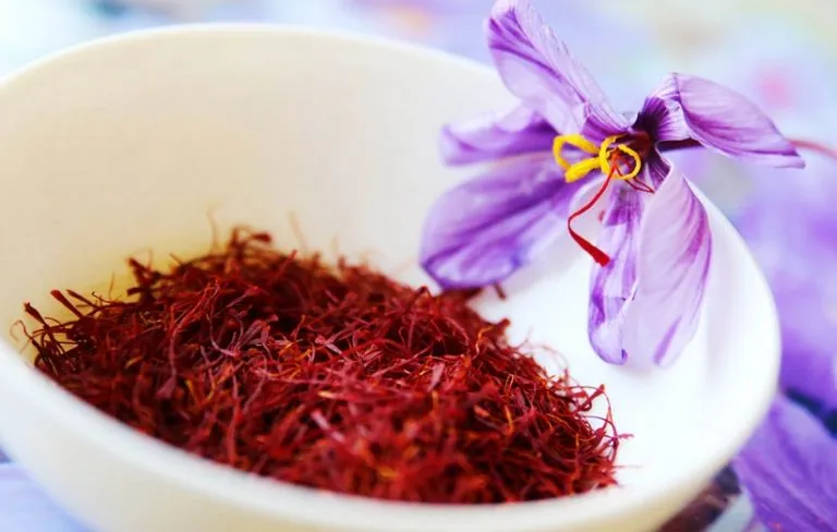 گل زعفران,زعفران سرگل, crocus-sativus, Crocus angustifolius مجموعه تولیدی سیدوس, تولید کننده گلدان پلاستیکی سیدوس 