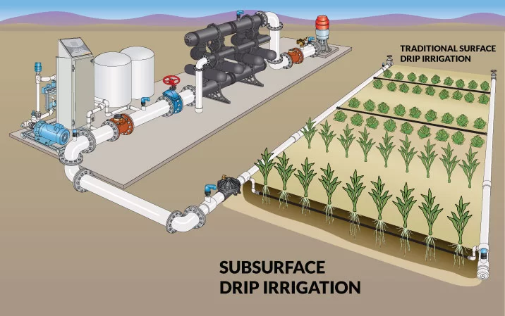 سیستم آبیاری زیر سطحیSubsurface irrigation system مجموعه تولیدی سیدوس ,تولید کننده محصولات بهداشتی ساختمانی سیدوس ,بیش از 112نوعاعم از مکانیسم توالت فرنگی,سیفون تک لگن,سیفون دو لگن,سیفون فانتزی,سیفون نیمه فانتزی,انواع سردوش, انواع کفشور,انواع چاه بست,انواع زیرآب,قطعات سیفون,ققطعات کفشور,قطعات سیفون کلاسیک, قطعاتت سیفون فانتزی,انواع واشر,سیفون وان و زیر دوشی,انواع لوله کششی شیلنگ آب آبگون,شیلنگ آب نیلگون,شیلنگ آب ژله ای آبران