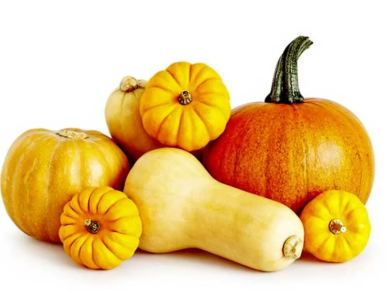 کدو حلوایی وفوائد آن برای سلامتیPumpkin and its health benefits
مجموعه تولیدی سیدوس ,تولید کننده گلدان پلاستیکی سیدوس ,بیش از 120نوع, اعم از گلدان استوانه ای پلاستیکی سیدوس,گلدان الماسی پلاستیکی سیدوس,گلدان مربعی پلاستیکی,گلدان مثلثی پلاستیکی,گلدان گرد پلاستیکی ,باکس مستطیلی,در اندازه های کاکتوسی تا درختچه ای