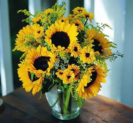 گل و گیاهان پاییزی برای علاقه مندان پاییزAutumn flowers and
 plants for autumn lovers
مجموعه تولیدی سیدوس ,تولید کننده گلدان پلاستیکی سیدوس ,بیش از 120نوع, اعم از گلدان استوانه ای پلاستیکی سیدوس,گلدان الماسی پلاستیکی سیدوس,گلدان مربعی پلاستیکی,گلدان مثلثی پلاستیکی,گلدان گرد پلاستیکی ,باکس مستطیلی,در اندازه های کاکتوسی تا درختچه ای