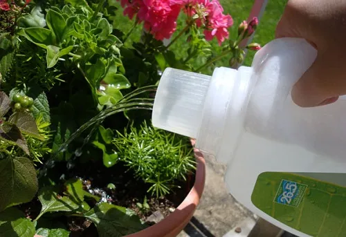 ساخت لوازم باغبانی ارزان با ایده های خلاقانهMaking cheap gardening tools with creative ideas
مجموعه تولیدی سیدوس ,تولید کننده گلدان پلاستیکی سیدوس ,بیش از 120نوع, اعم از گلدان استوانه ای پلاستیکی سیدوس,گلدان الماسی پلاستیکی سیدوس,گلدان مربعی پلاستیکی,گلدان مثلثی پلاستیکی,گلدان گرد پلاستیکی ,باکس مستطیلی,در اندازه های کاکتوسی تا درختچه ای