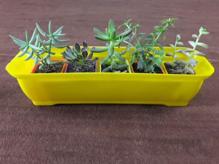 Rectangular box pot گلدان باکس پلاستیکی