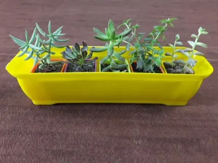 Rectangular box pot گلدان باکس پلاستیکی