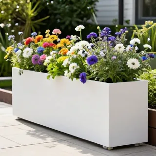 انواع گل مناسب کاشت Types of flowers suitable for planting&nbsp;گل اختر آبی یا گیاه آسونیگا (Bluestar)