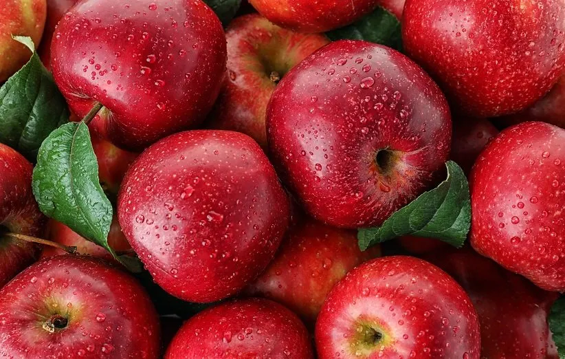 سیب وخواص چشمگیر آن برای سلامتیApple and its impressive health properties
مجموعه تولیدی سیدوس ,تولید کننده گلدان پلاستیکی سیدوس ,بیش از 120نوع, اعم از گلدان استوانه ای پلاستیکی سیدوس,گلدان الماسی پلاستیکی سیدوس,گلدان مربعی پلاستیکی,گلدان مثلثی پلاستیکی,گلدان گرد پلاستیکی ,باکس مستطیلی,در اندازه های کاکتوسی تا درختچه ای